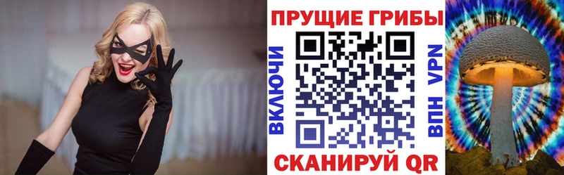 купить   Новомосковск  Галлюциногенные грибы ЛСД 